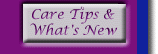 Care Tips & What's New